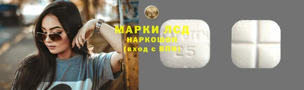 прущие крисы Арсеньев